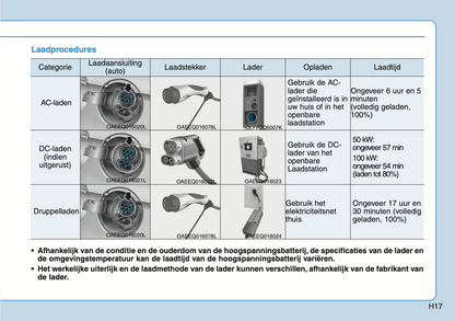 2020-2021 Hyundai Ioniq Electric Owner's Manual | Dutch