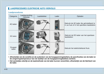 2020 Hyundai Kona Electric Owner's Manual | Dutch