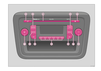 Skoda Radio Blues Manual de Instrucciones 2008 - 2010