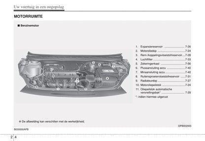 2012-2013 Hyundai i20 Owner's Manual | Dutch