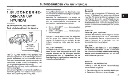 2001-2002 Hyundai Santa Fe Bedienungsanleitung | Niederländisch