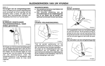 2001-2002 Hyundai Santa Fe Bedienungsanleitung | Niederländisch