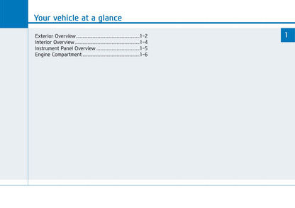 2018-2019 Hyundai Veloster Owner's Manual | English