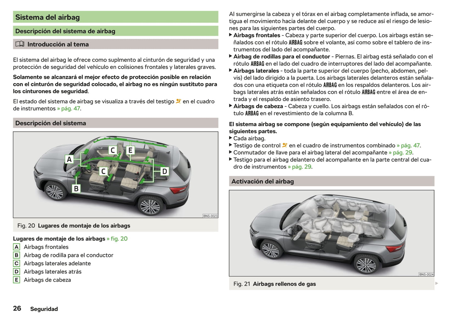 2019-2020 Skoda Kodiaq Owner's Manual | Spanish