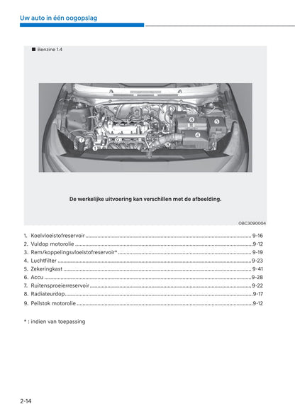 2021-2022 Hyundai i20/i20 N-Line/Bayon Owner's Manual | Dutch