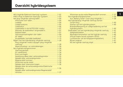 2020-2021 Kia Niro Hybrid Gebruikershandleiding | Nederlands