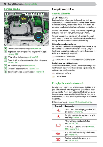 2019-2020 Skoda Scala Gebruikershandleiding | Pools