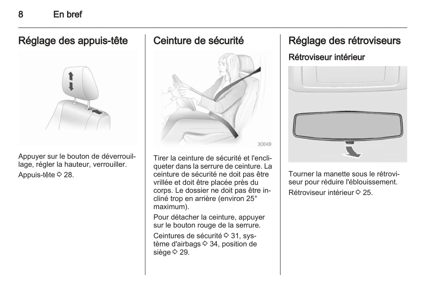 2014-2017 Opel Ampera Owner's Manual | French