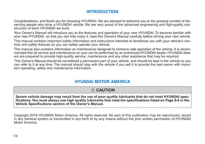 2019 Hyundai Kona Electric Owner's Manual | English