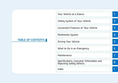 2019 Hyundai Kona Electric Owner's Manual | English