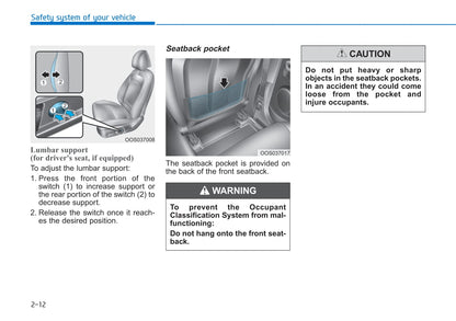 2019 Hyundai Kona Electric Owner's Manual | English