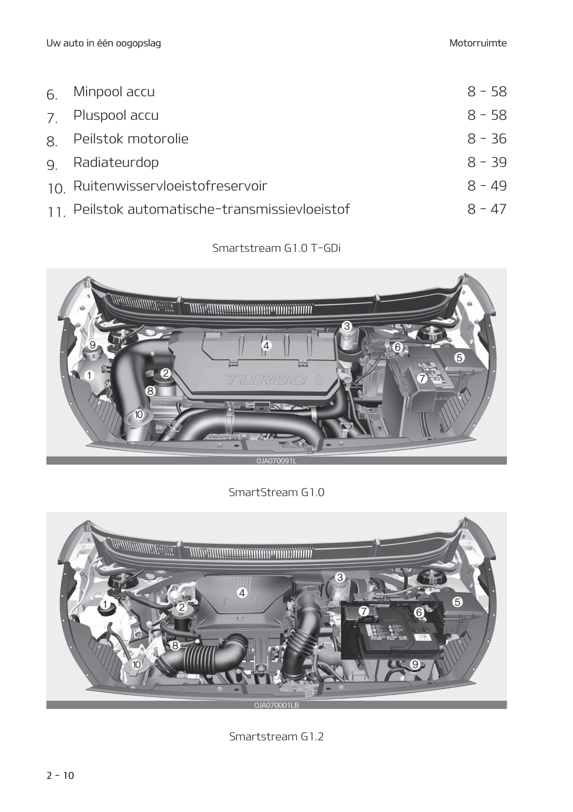 2020-2021 Kia Picanto Gebruikershandleiding | Nederlands