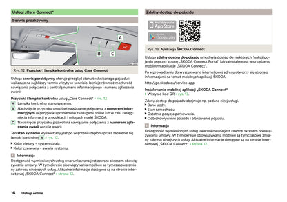 2018-2019 Skoda Rapid Owner's Manual | Polish