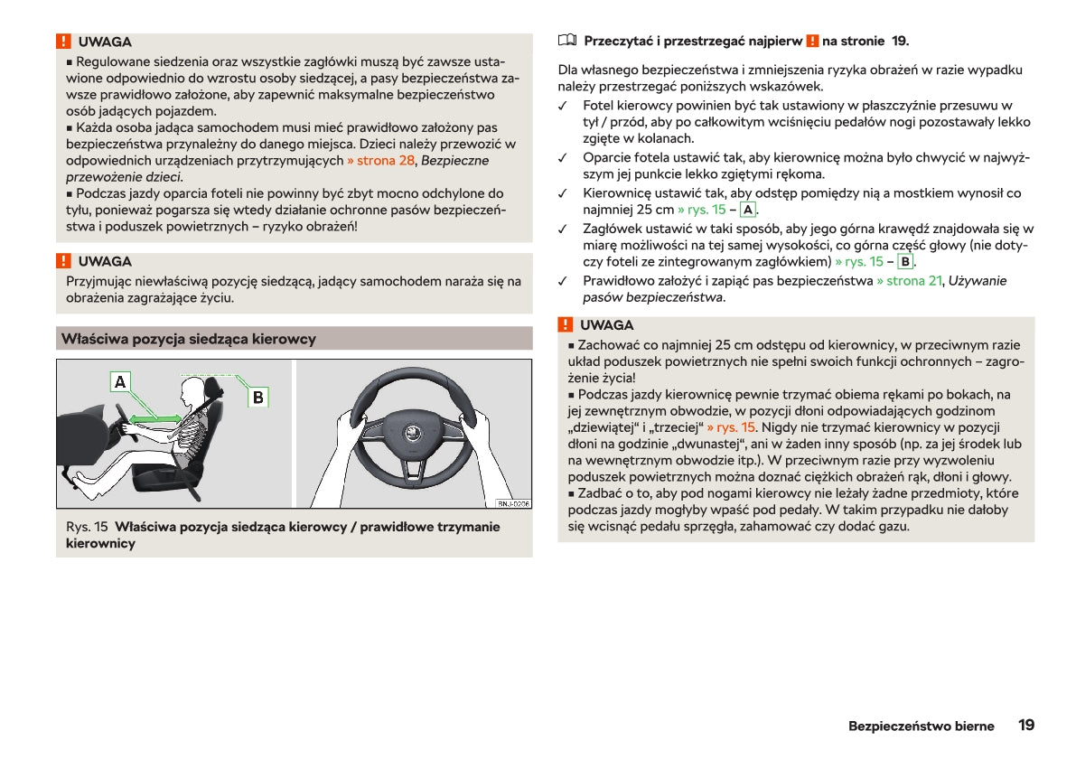 2018-2019 Skoda Rapid Owner's Manual | Polish