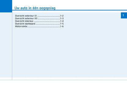 2016-2017 Hyundai Ioniq Bedienungsanleitung | Niederländisch