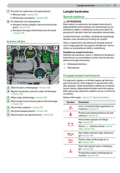 2019-2020 Skoda Octavia Owner's Manual | Polish