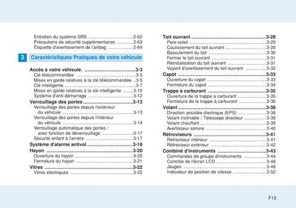 2015-2016 Hyundai i20 Gebruikershandleiding | Frans