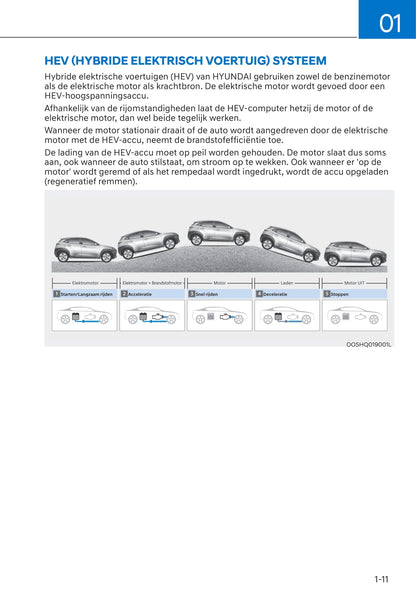 2020-2021 Hyundai Kona Hybrid Bedienungsanleitung | Niederländisch