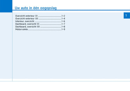 2018-2020 Hyundai i30 Manuel du propriétaire | Néerlandais