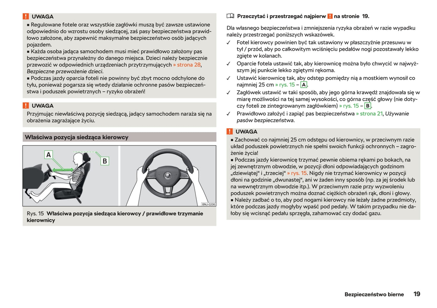 2018-2019 Skoda Rapid Spaceback Owner's Manual | Polish