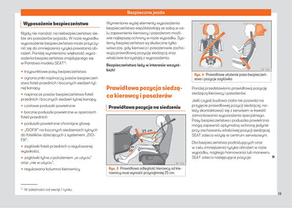 2021-2023 Seat Arona Gebruikershandleiding | Pools