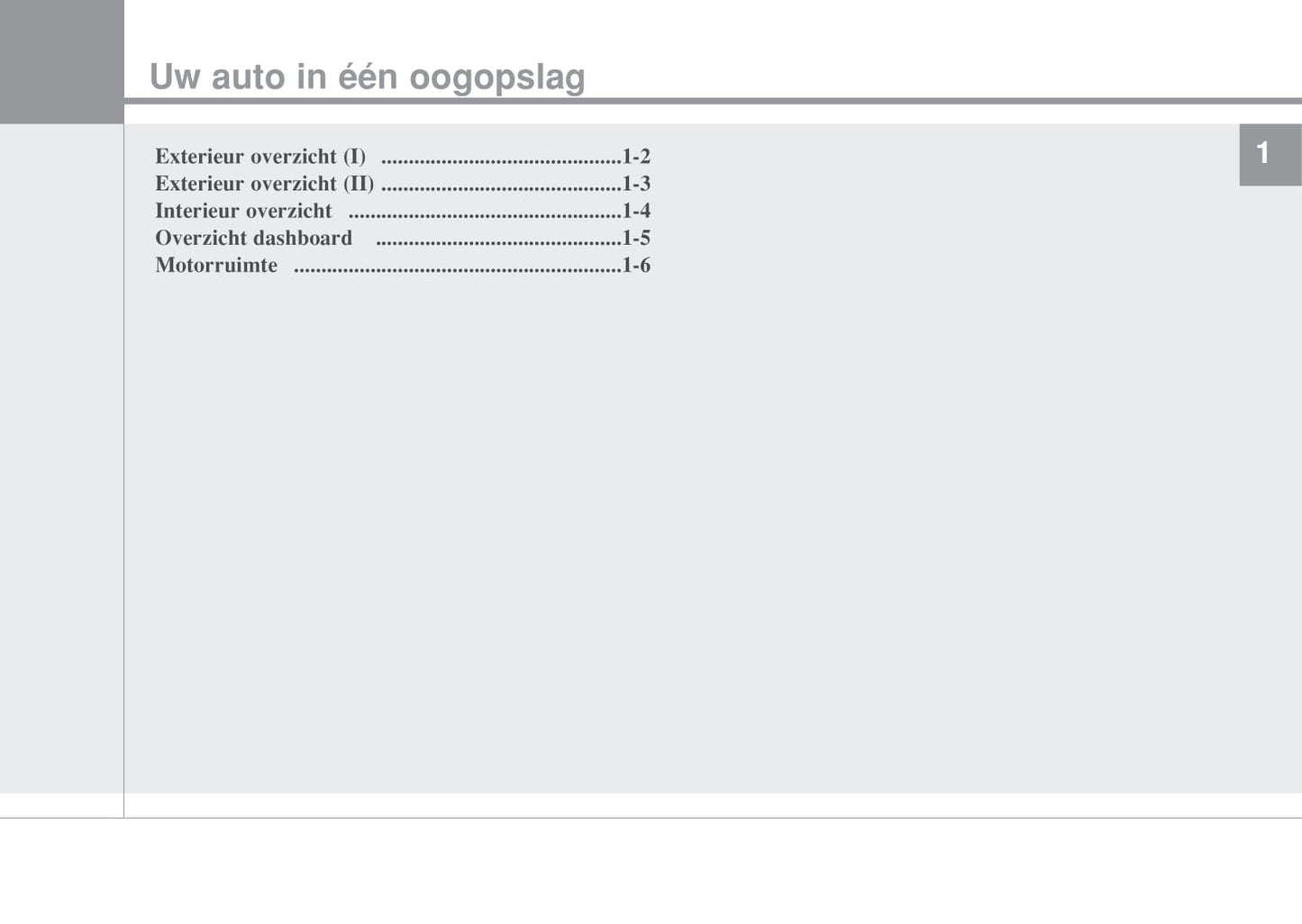 2014-2018 Hyundai i20 Manuel du propriétaire | Néerlandais