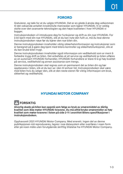 2021-2022 Hyundai Kona Electric Bedienungsanleitung | Norsk