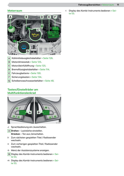 2018-2021 Skoda Fabia Manuel du propriétaire | Allemand