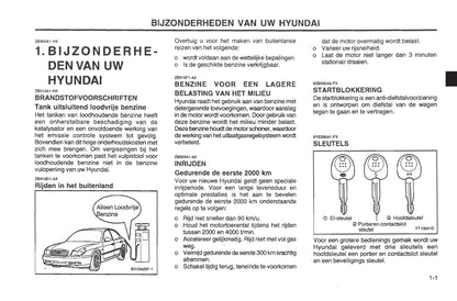 2001-2002 Hyundai Sonata Bedienungsanleitung | Niederländisch