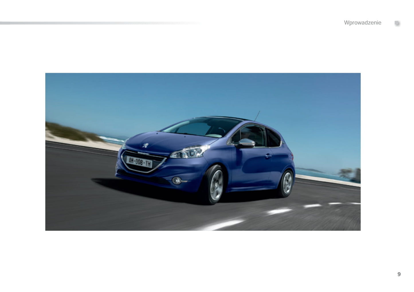 2014-2015 Peugeot 208 Gebruikershandleiding | Pools