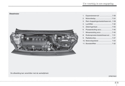 2009-2012 Hyundai i20 Manuel du propriétaire | Néerlandais